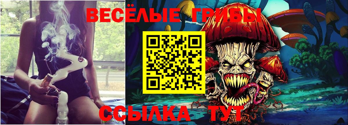 Псилоцибиновые грибы мицелий Костомукша